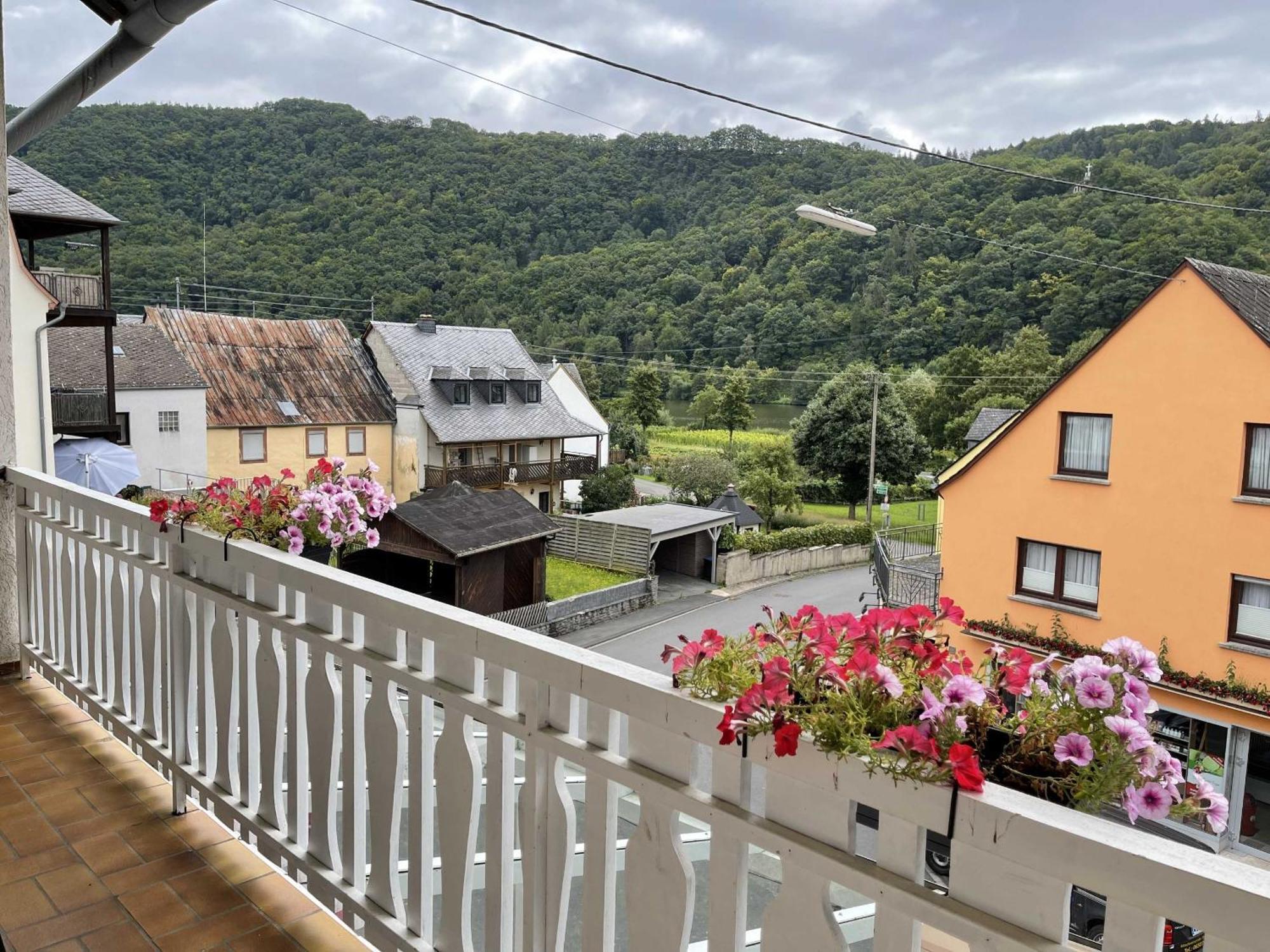Hotel Zur Mosel Minheim Ngoại thất bức ảnh